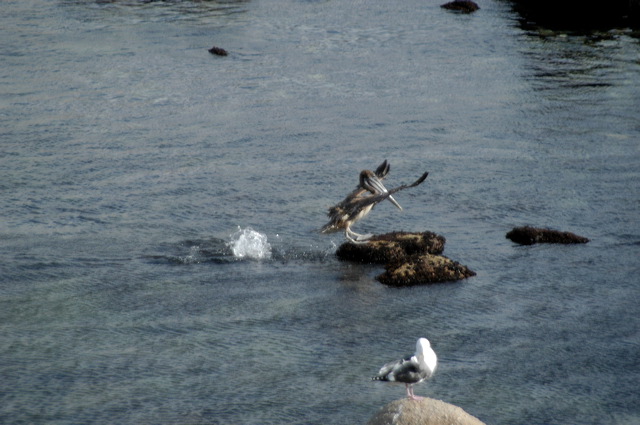 dsc_9275.jpg