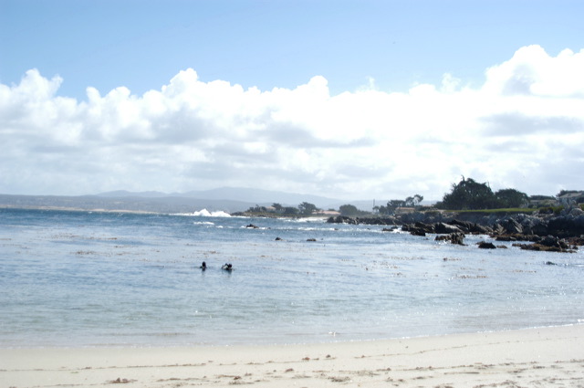 dsc_9293.jpg