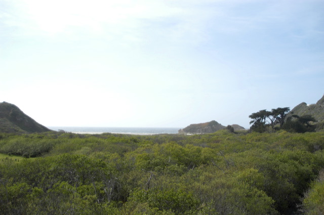 dsc_9385.jpg