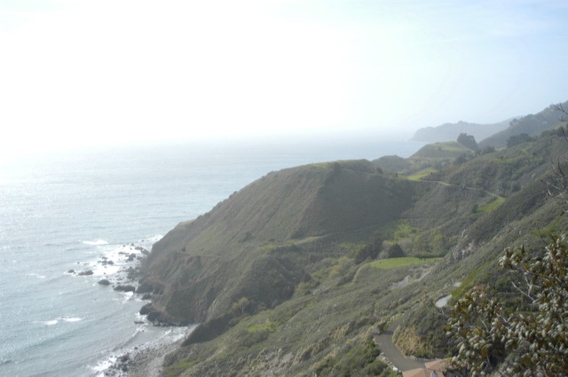dsc_9391.jpg
