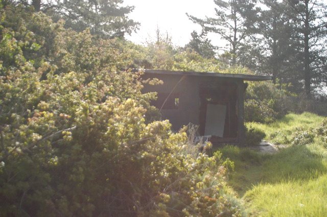 dsc_9432.jpg