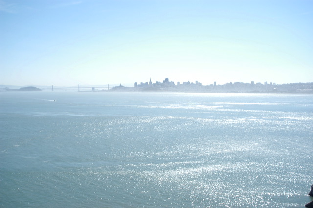dsc_9505.jpg